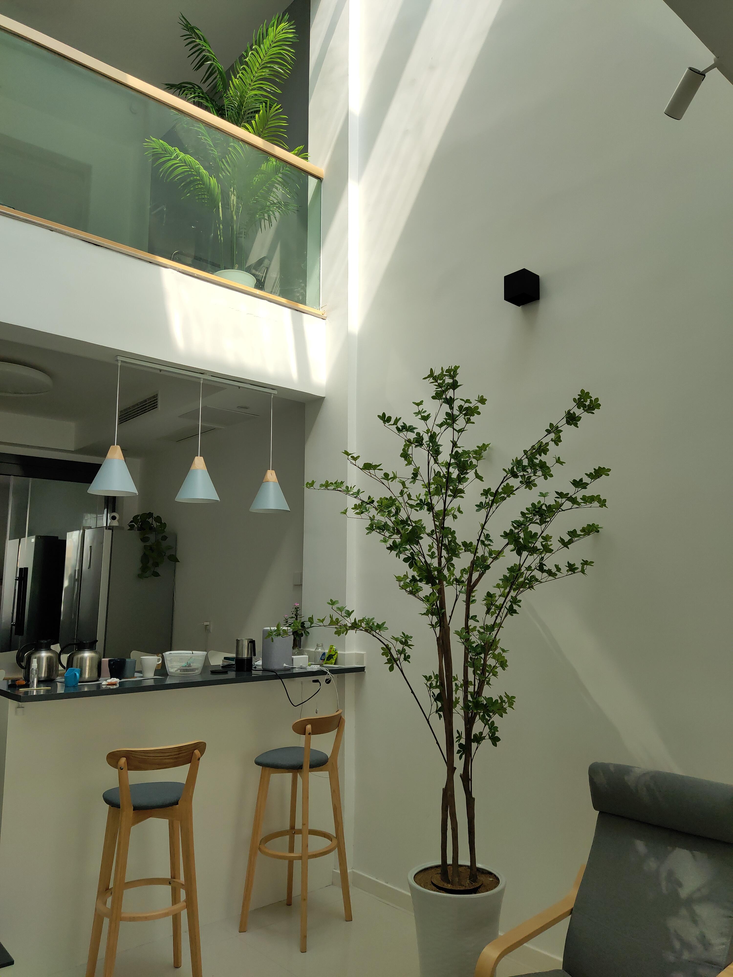 别墅院子维护与管理_联排别墅与大平层优缺点对比_别墅装电梯