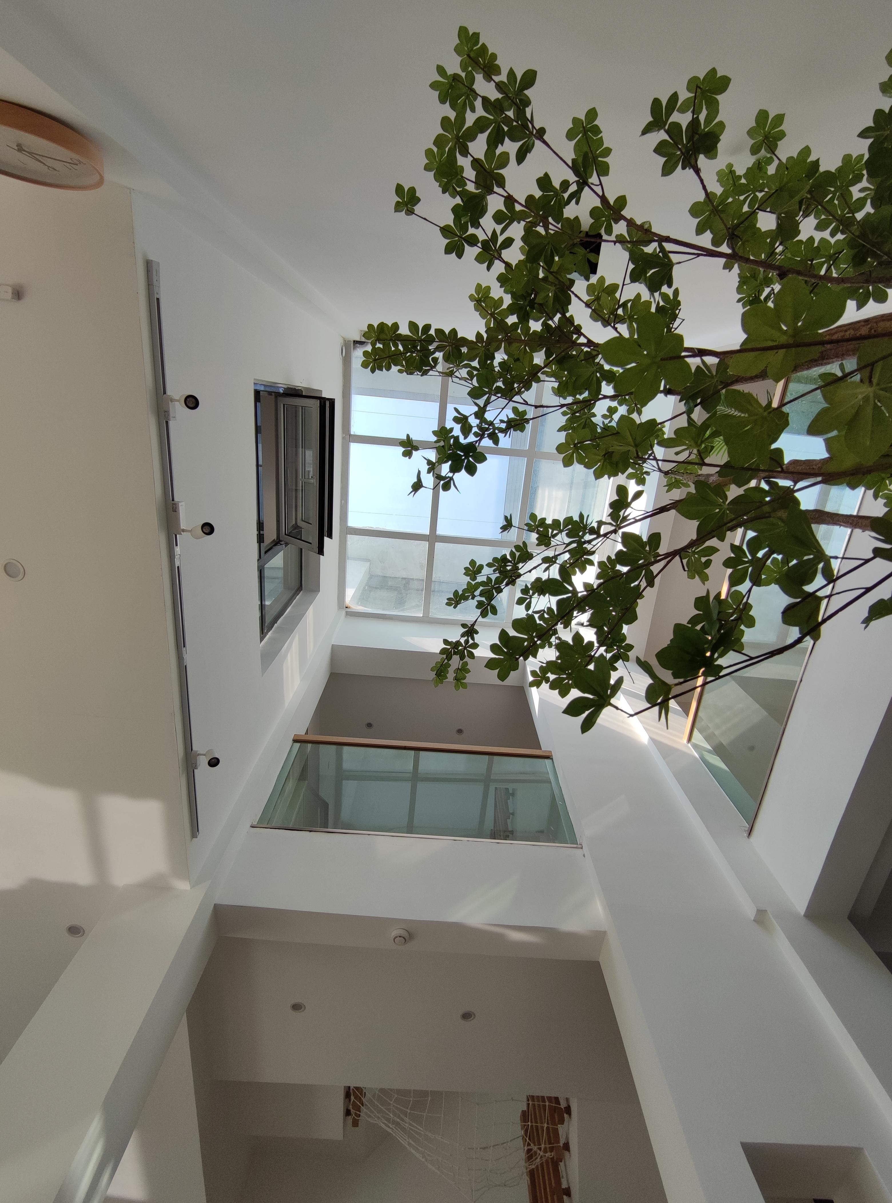 联排别墅与大平层优缺点对比_别墅装电梯_别墅院子维护与管理